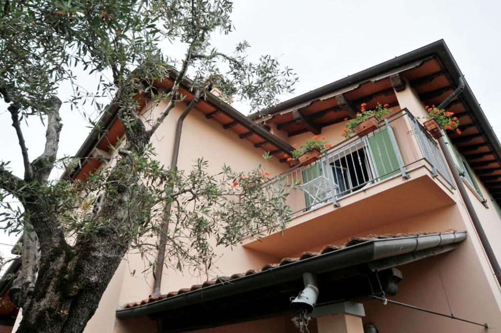 Bed and Breakfast La Madonnina Querceta Exterior foto