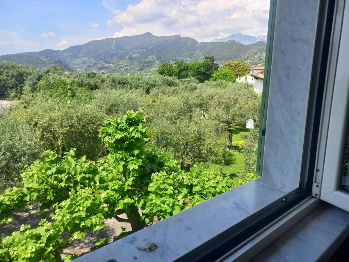Bed and Breakfast La Madonnina Querceta Exterior foto
